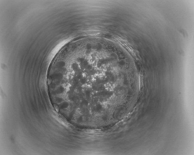 X0000091190147200708091255