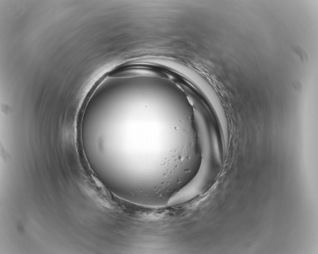 X0000091190148200708091255