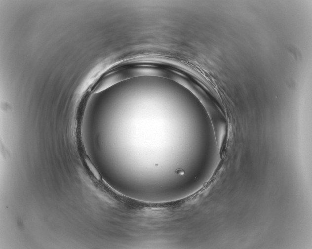 X0000091190150200708091255