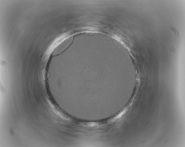 X0000091190151200708091255