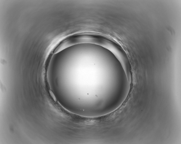 X0000091190152200708091255