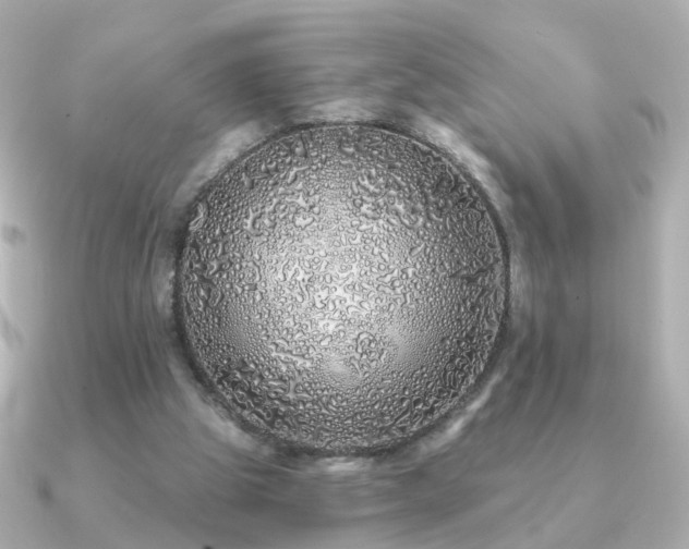 X0000091190153200708091255