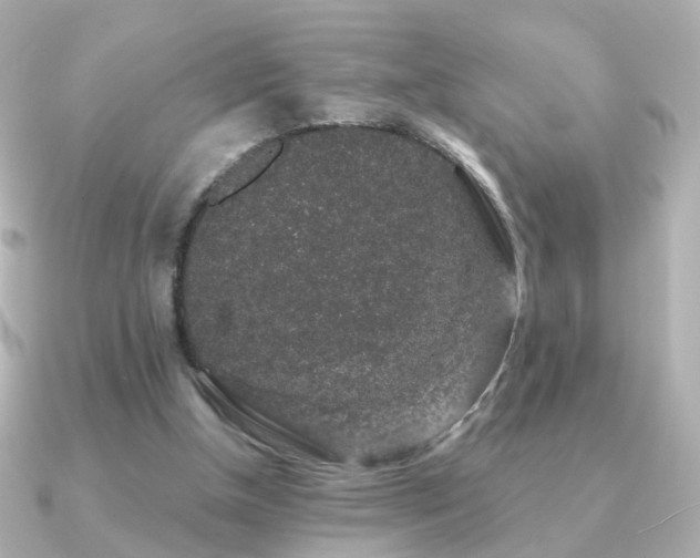 X0000091190154200708091255