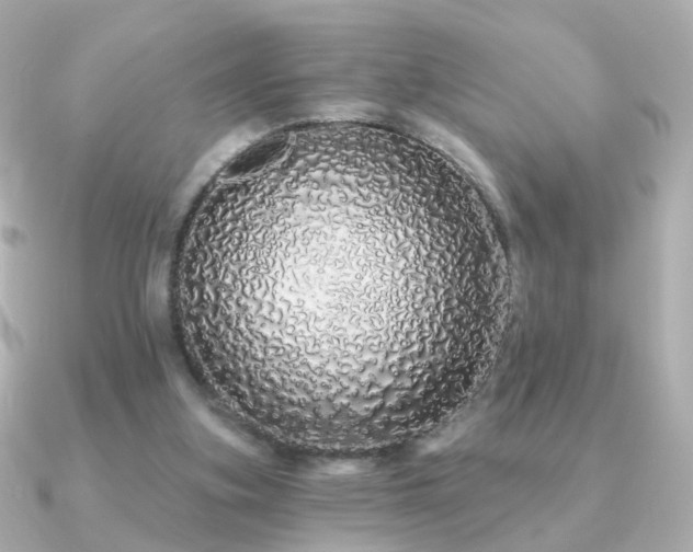 X0000091190155200708091255