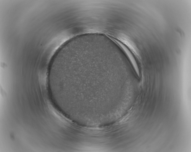 X0000091190156200708091255
