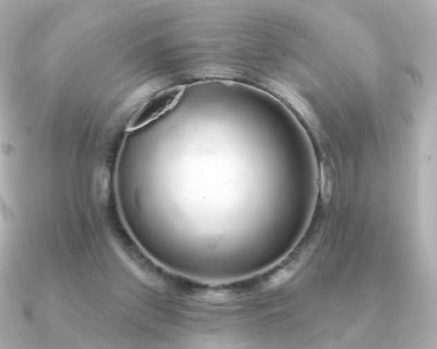 X0000091190157200708091255