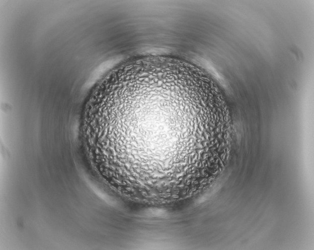 X0000091190159200708091255