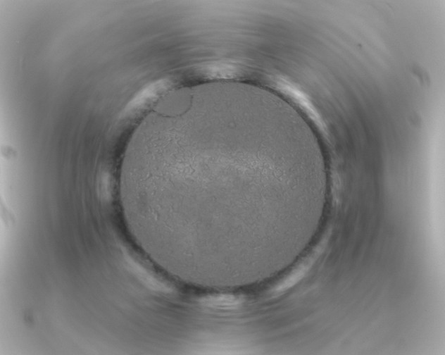 X0000091190161200708091255