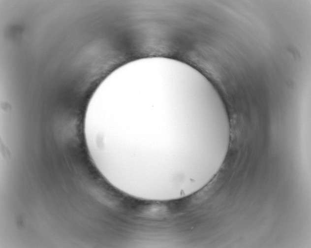 X0000091190162200708091255