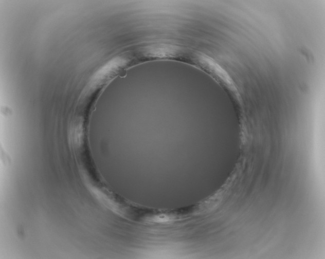 X0000091190163200708091255