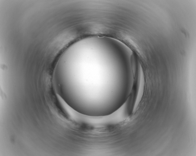 X0000091190164200708091255