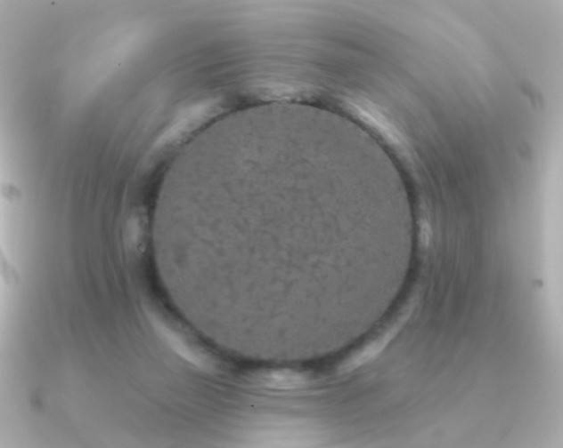 X0000091190165200708091255
