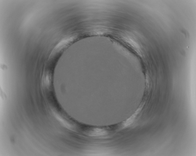 X0000091190166200708091255