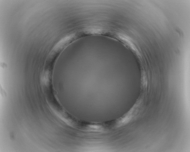 X0000091190167200708091255