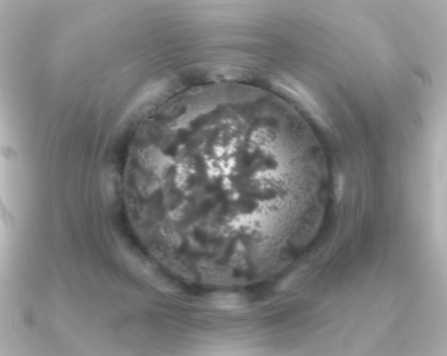 X0000091190169200708091255