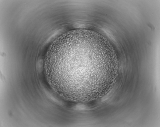 X0000091190171200708091255