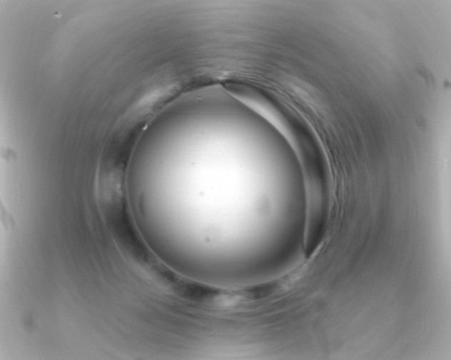 X0000091190172200708091256