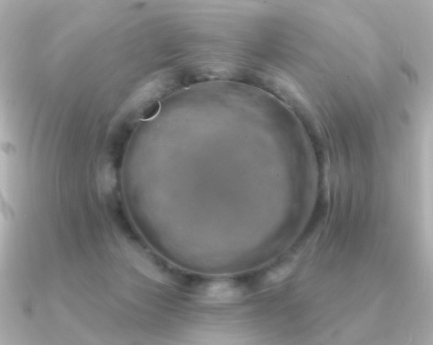 X0000091190173200708091256