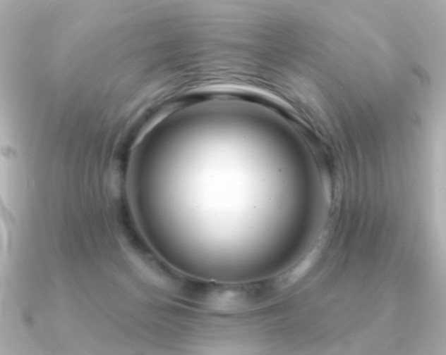 X0000091190174200708091256