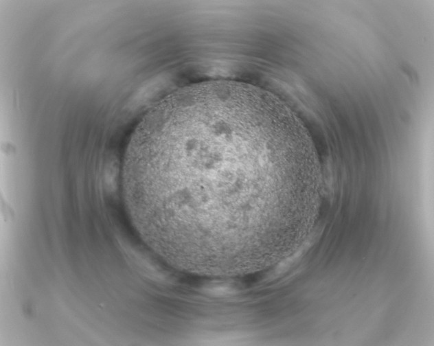X0000091190175200708091256
