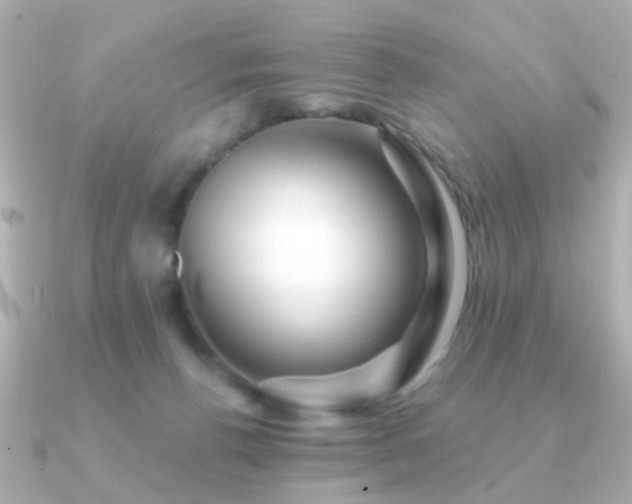 X0000091190176200708091256