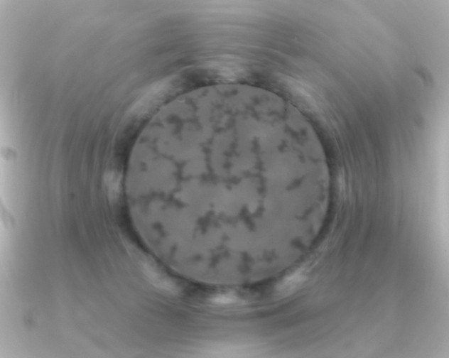X0000091190177200708091256