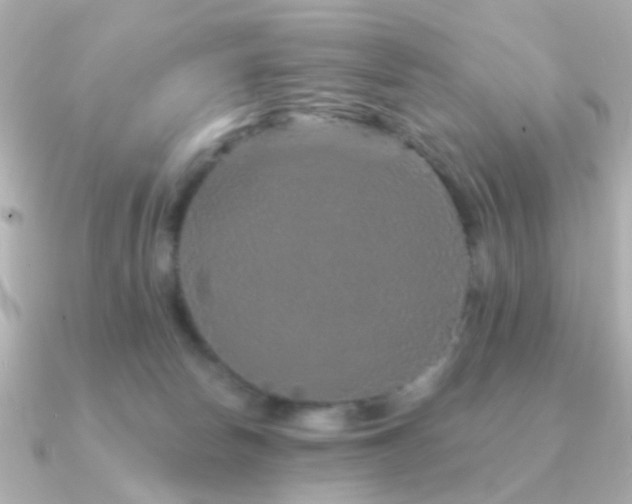 X0000091190178200708091256