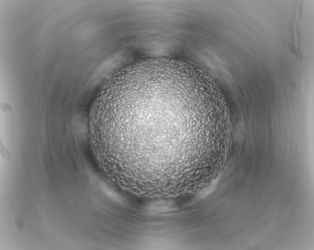X0000091190179200708091256