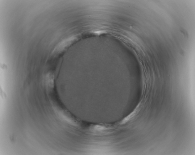 X0000091190180200708091256
