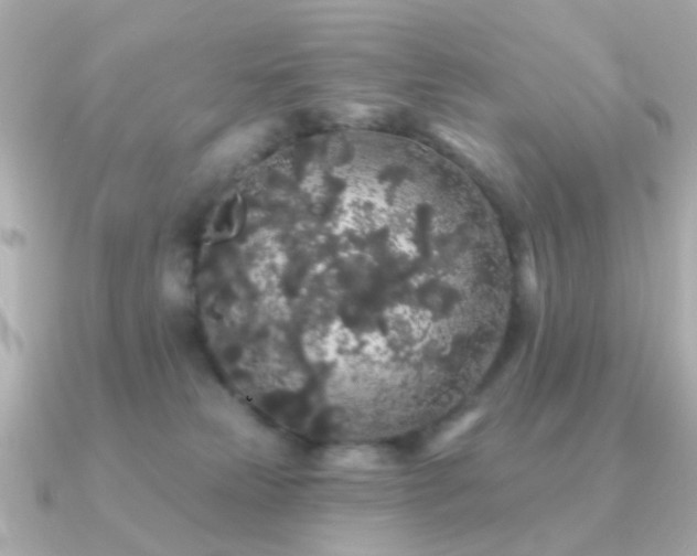 X0000091190181200708091256