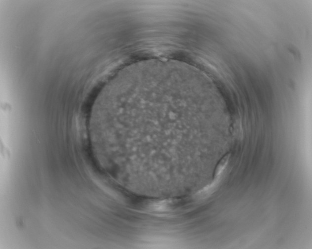 X0000091190182200708091256