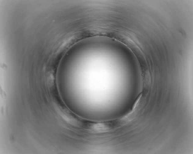 X0000091190183200708091256