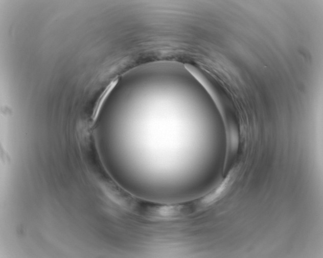X0000091190184200708091256