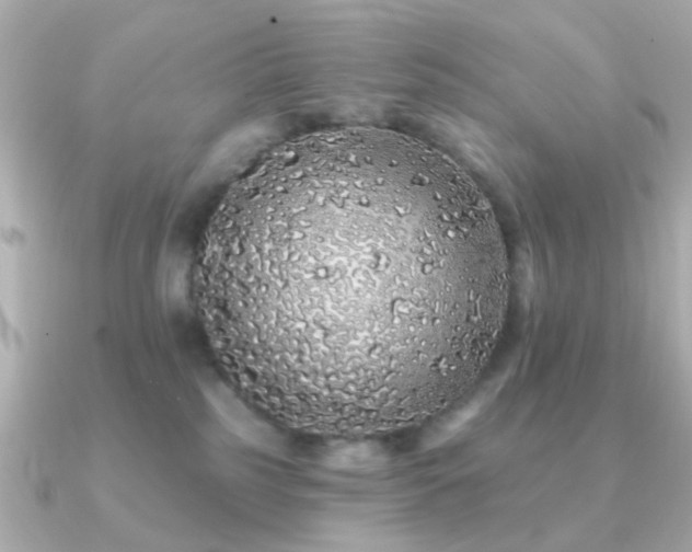 X0000091190185200708091256