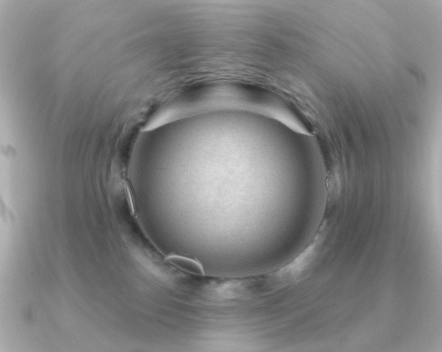 X0000091190186200708091256