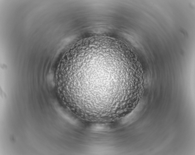 X0000091190187200708091256