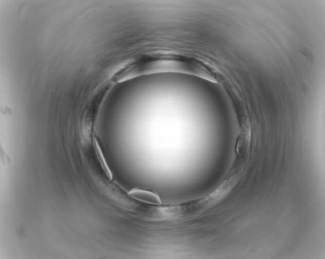 X0000091190188200708091256