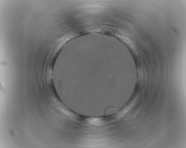 X0000091190189200708091256