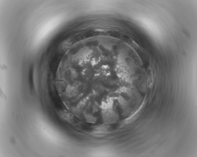 X0000091190191200708091256