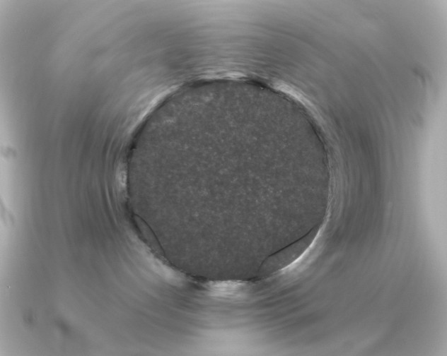 X0000091190192200708091256