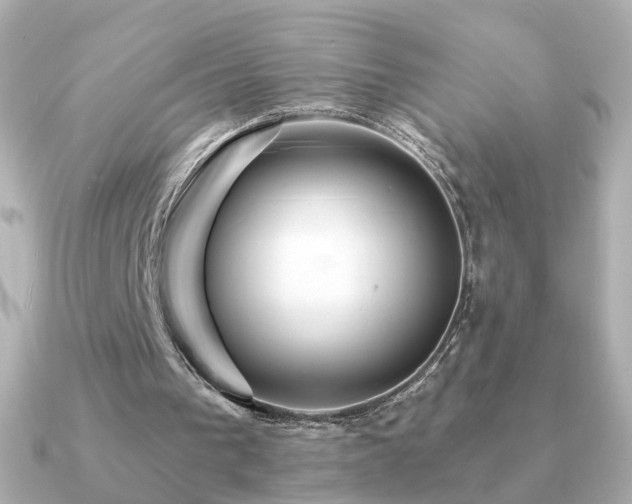X0000091190193200708091255