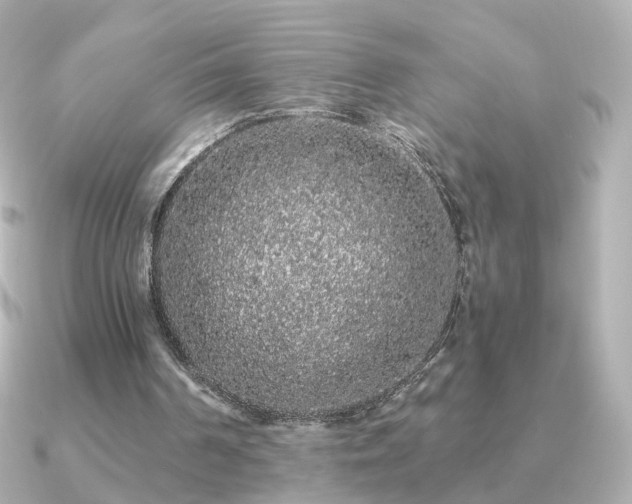 X0000091190194200708091255