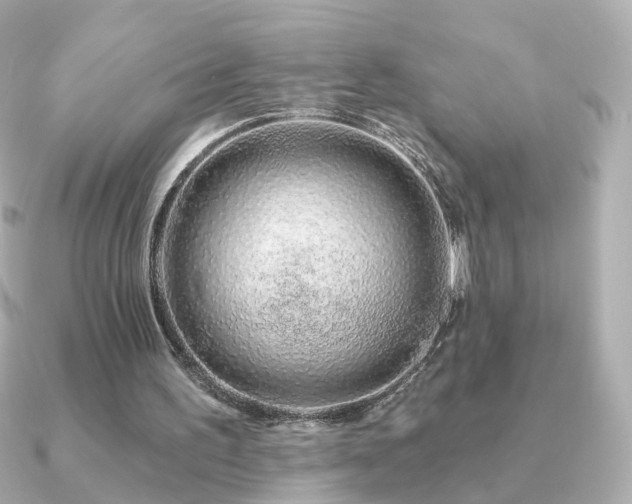 X0000091190195200708091255