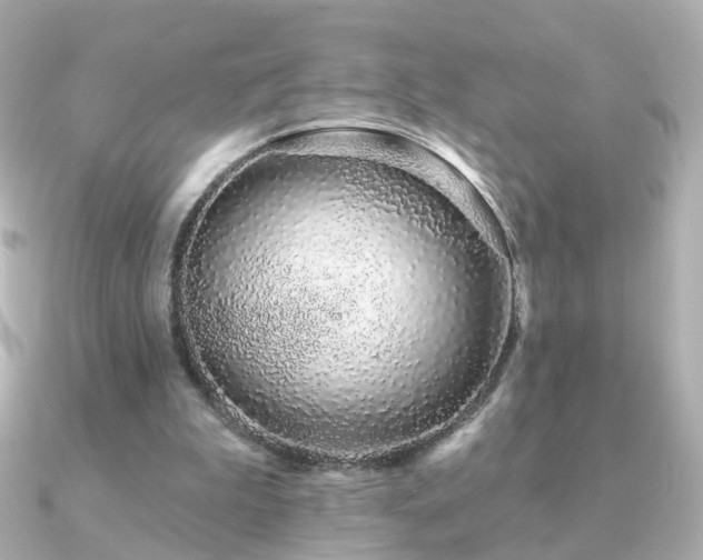 X0000091190199200708091255