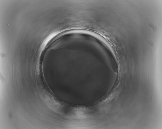 X0000091190200200708091255