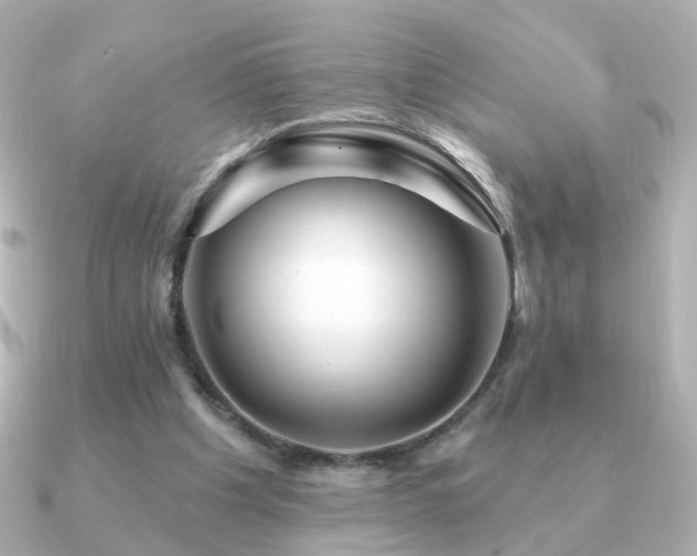 X0000091190201200708091255