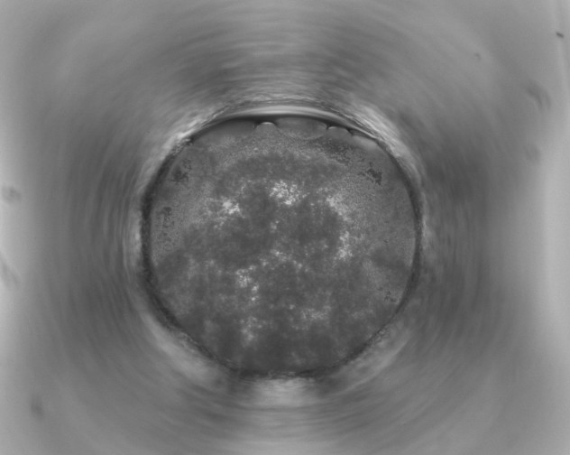 X0000091190202200708091255