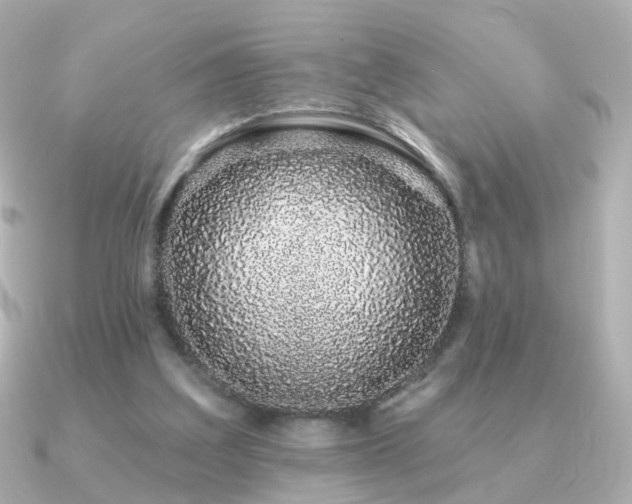 X0000091190203200708091255