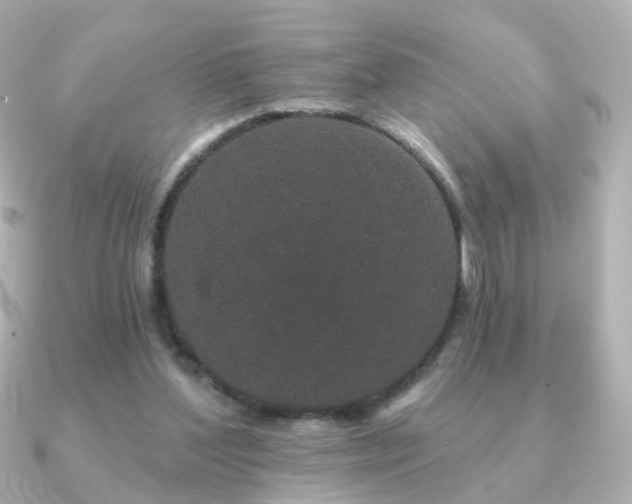 X0000091190204200708091255