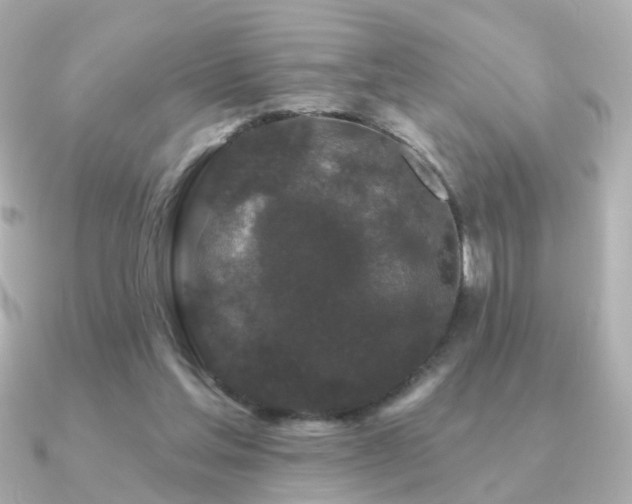 X0000091190205200708091255